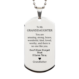 To Granddaughter, Don't Ever Forget That I Love You. Gift for Granddaughter, Silver Dog Tag. Motivational Gift From Grandfather. Best Idea Gift for Birthday