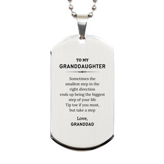 Granddaughter Graduaion Gifts from Granddad, Inspirational Silver Dog Tag for Granddaughter Christmas Birthday Motivational Gifts for Granddaughter Sometimes the smallest step in the right direction ends up being the biggest step of your life. Love, Grand